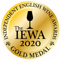 IEWA20 Gold Logo