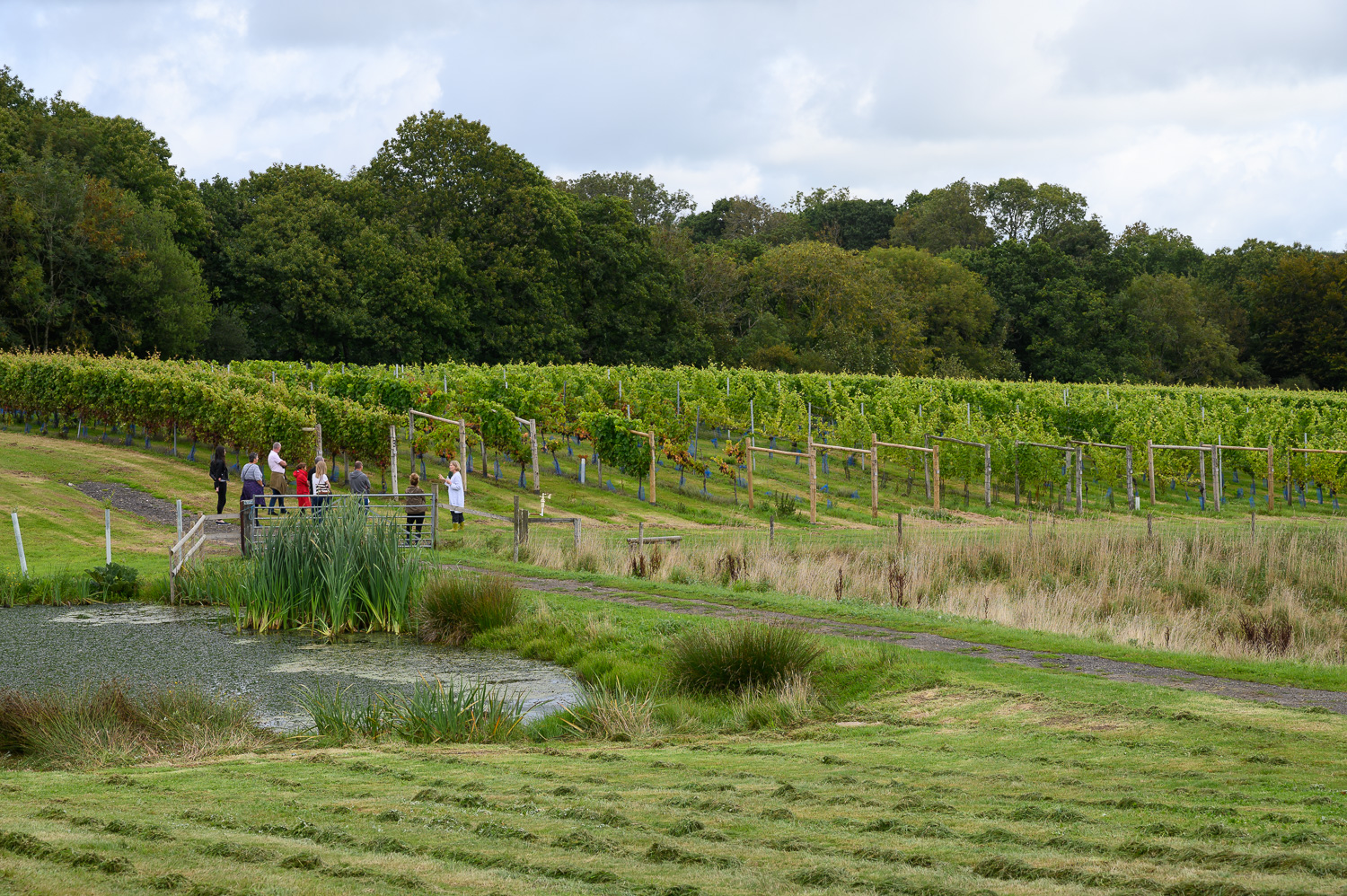 A group of people taking a tour at Dorset's Furleigh Estate