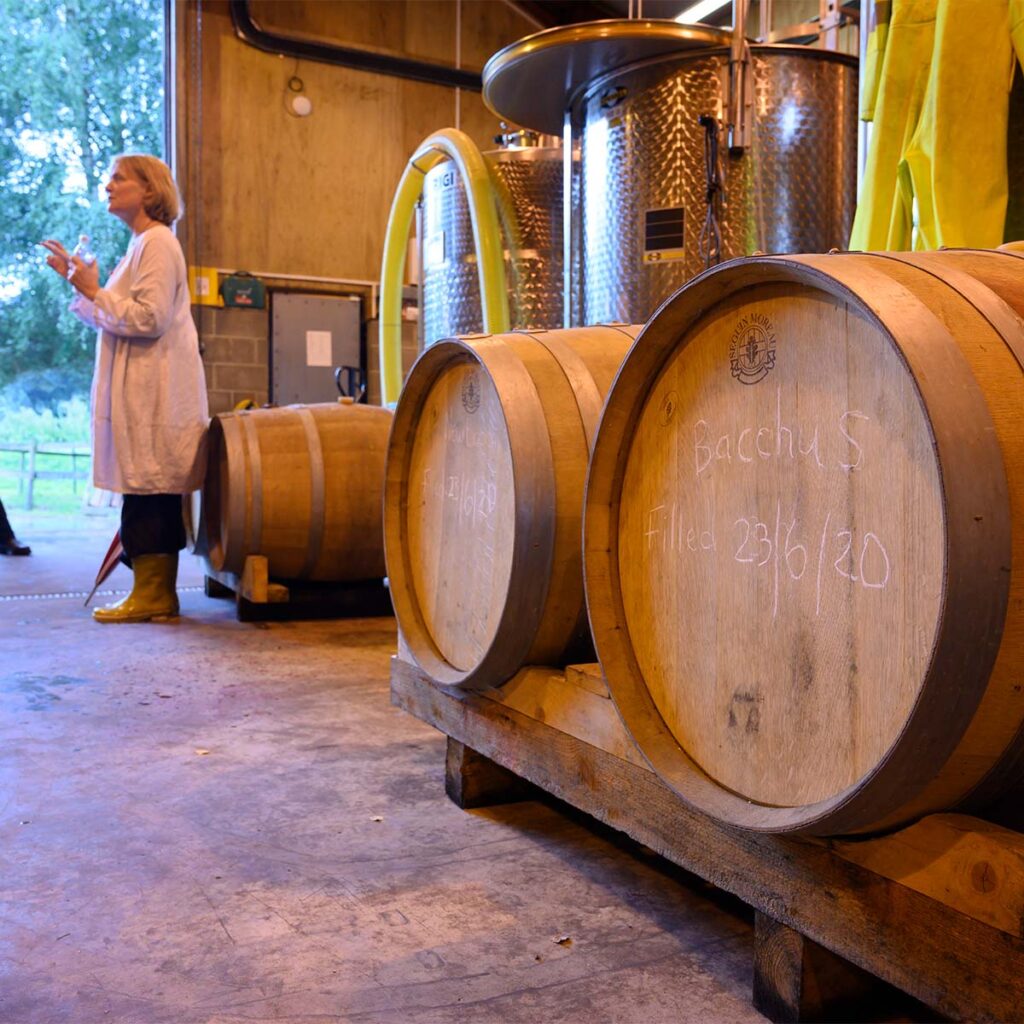 Rebecca hosting a tour group (off camera) in the Furleigh Winery, with barrels and tanks behind her